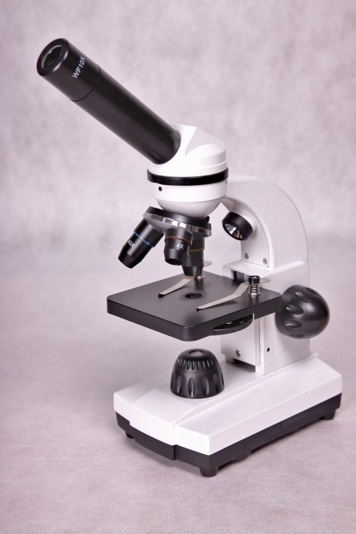 53002 Mikroskop Biolux, 3 - obiektywowy, pow.: 1024x